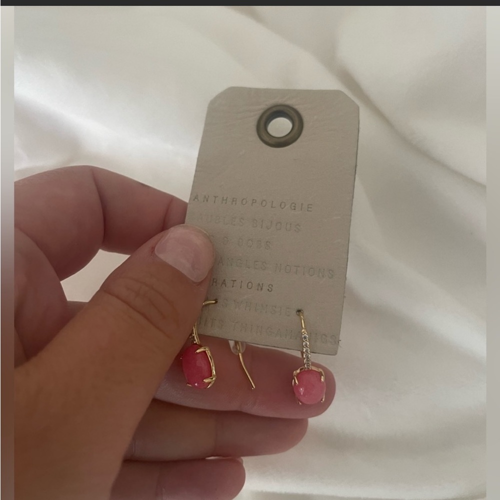 Pink Anthropology Earnings